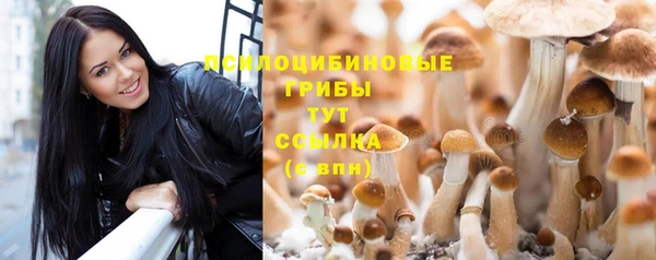 героин Богданович