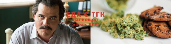 дмт Богородицк