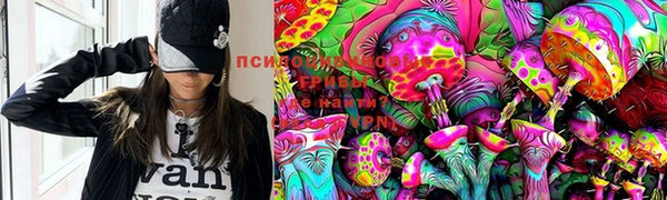 PSILOCYBIN Богородск