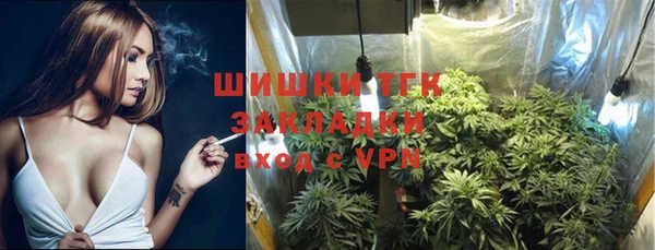 дмт Богородицк