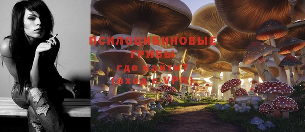 героин Богданович